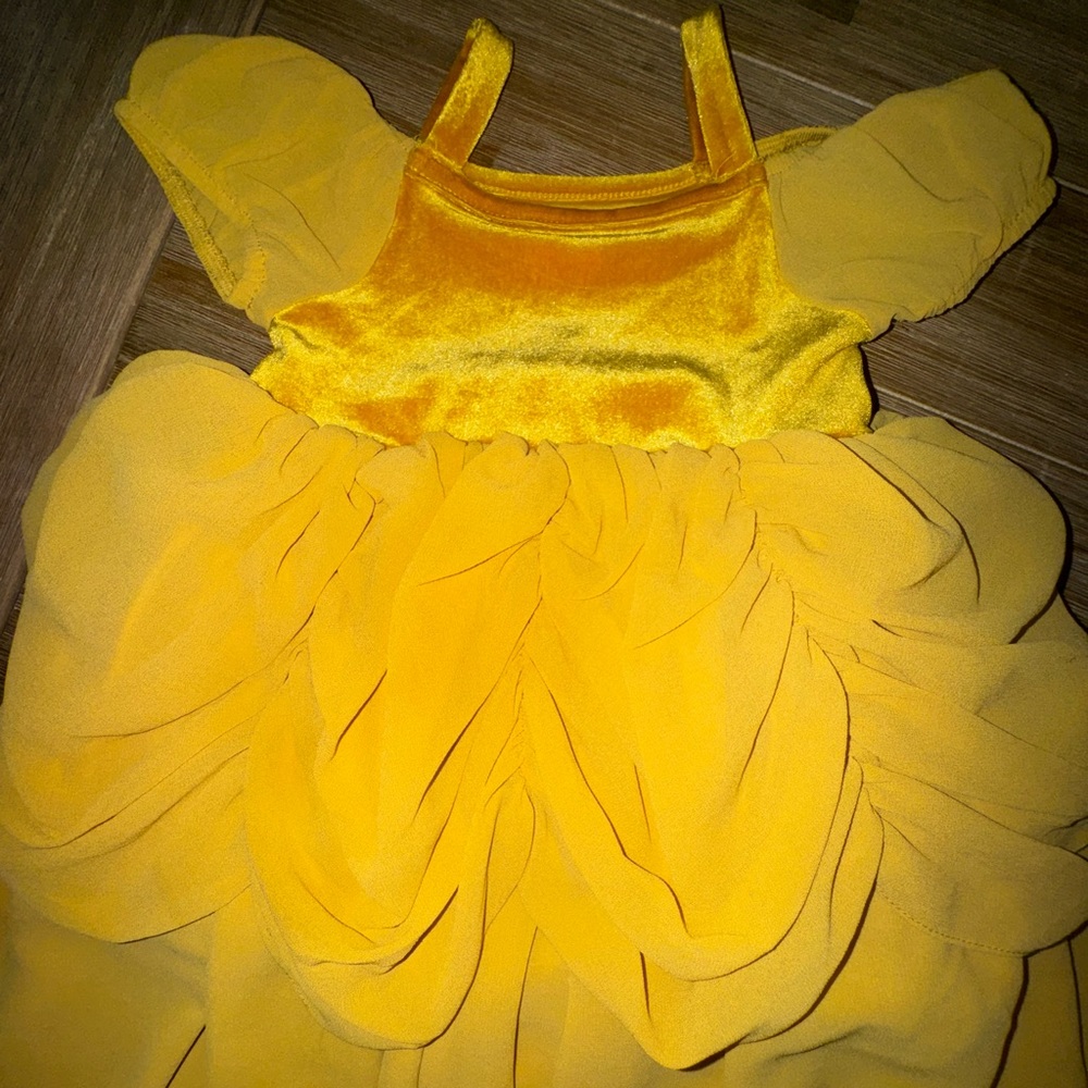 FANCY BEAUTY DRESS